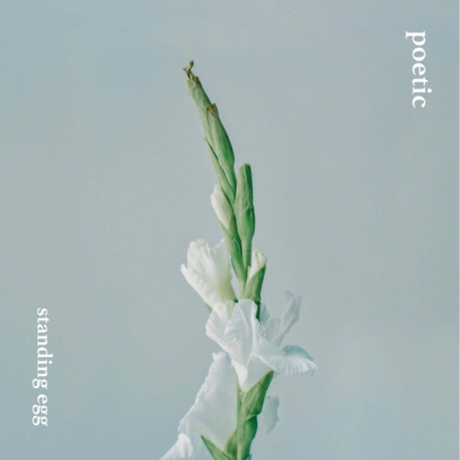 STANDING EGG - POETIC - Album Kpop