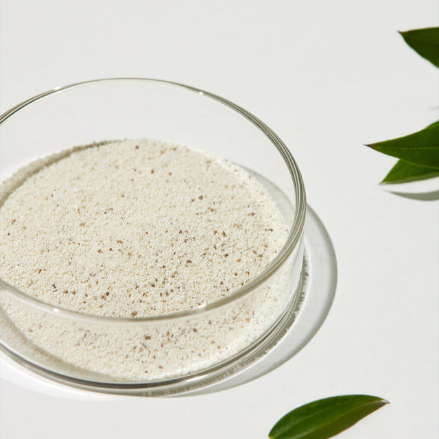 SUNGBOON EDITOR Green Tomato Deep Pore Clean Enzyme Powder Wash 50g disponible sur Ma petite Coree, ton Eshop 100% K-beauty en direct de Seoul