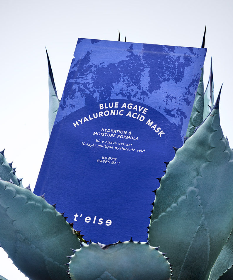 T'ELSE Blue Agave Hyaluronic Acid Mask 5 Pack posé sur une plante d'agave pour une hydratation intense et une peau radieuse.