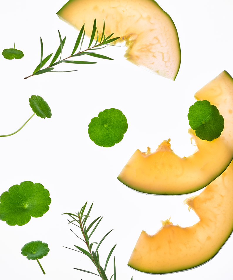 TOCOBO Cica Calming Powder Wash - ingrédients naturels avec cica et tranches de melon sur fond blanc