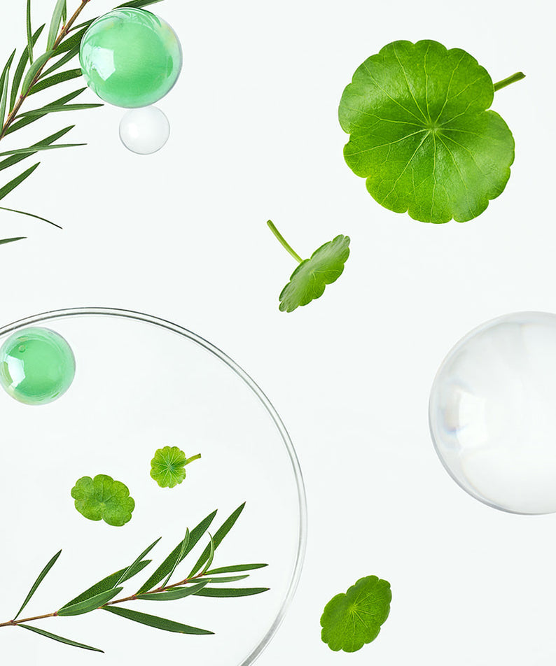 TOCOBO Cica Calming Serum ingrédients naturels, feuilles de centella verte et bulles pour un effet apaisant.