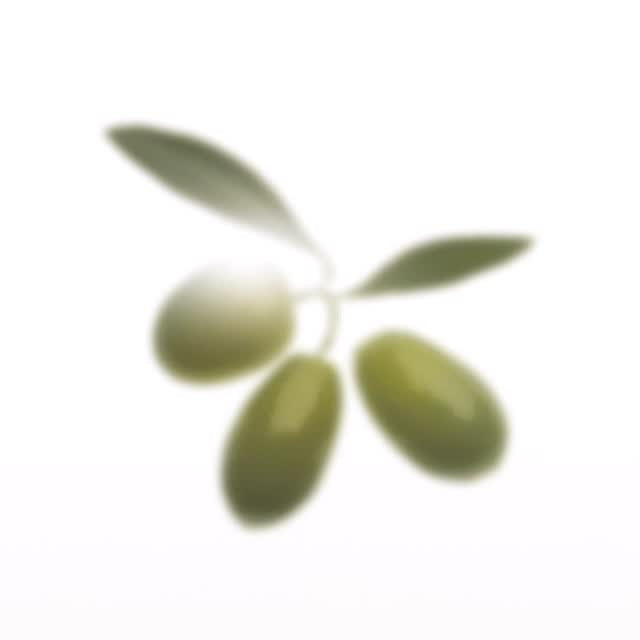 TRUE RX Ace Organic Live Oil de la marque TRUE RX, flacon près d’un visuel de feuilles vertes sur fond blanc.