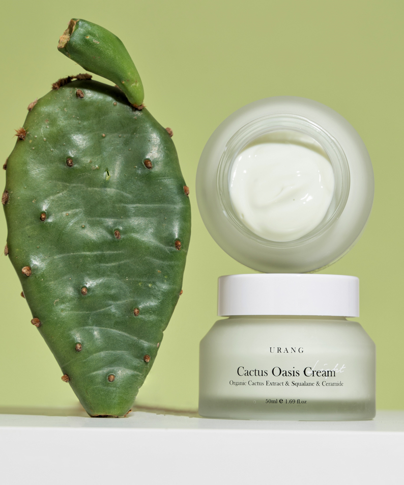 URANG Cactus Oasis Cream 50ml posé à côté d'une feuille de cactus, crème hydratante pour la peau, pot de 50 ml.