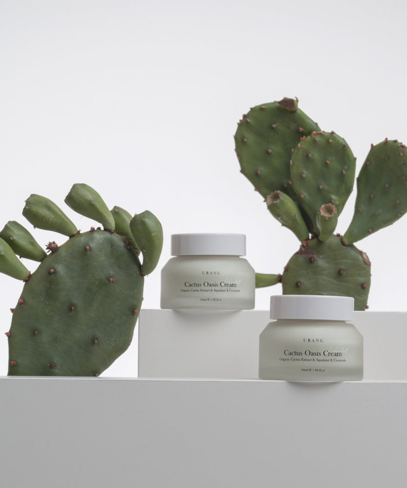 Crème URANG Cactus Oasis 50ml posée devant des cactus, hydratation intense en pot élégant.