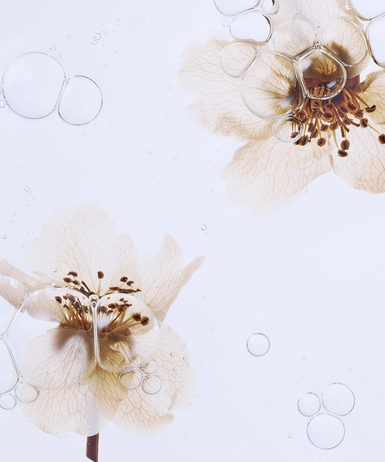 WHAMISA Organic Pear Blossom Fermented Essence Toner 160ml parée de fleurs de poirier, fond clair élégant.