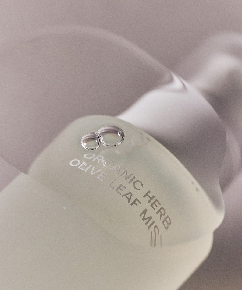 WHAMISA Organic Herb Fermented Olive Leaf Mist 100ml en gros plan, mis en valeur sur un fond doux et élégant.