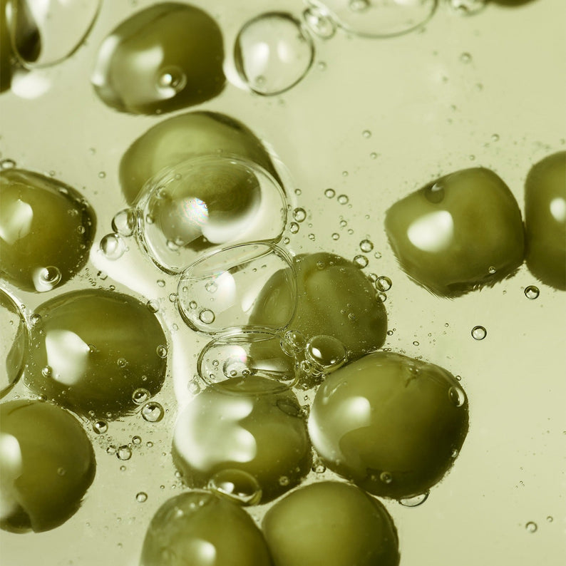 WHAMISA Organic Pea Fermented Shampoo For Scalp Care 450ml