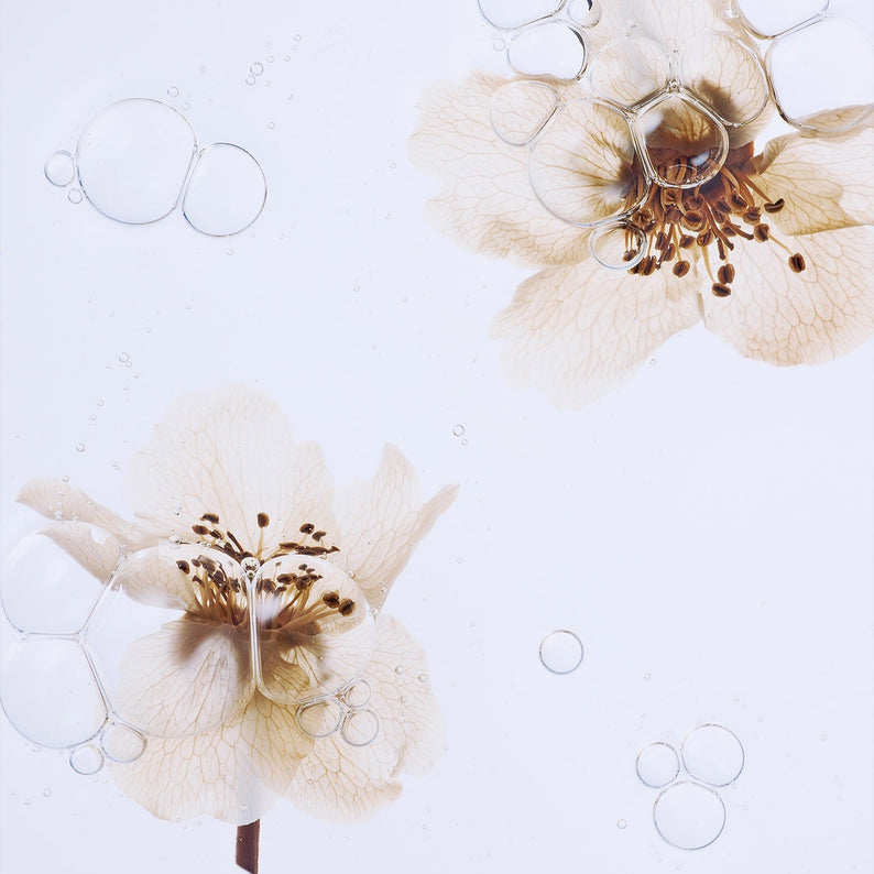 WHAMISA Organic Pear Blossom Fermented Essence Toner 160ml