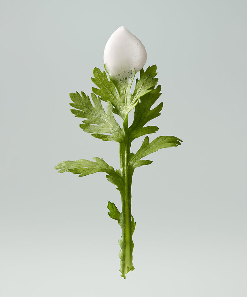 WHIPPED Mug Tree Vegan Whipping Bubble Serum 92ml