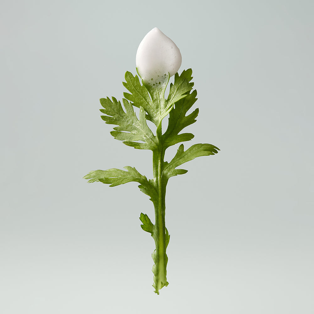 WHIPPED Mug Tree Vegan Whipping Bubble Serum 92ml