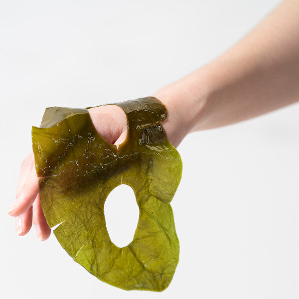 WHAMISA Algae Organic Kelp Mask
